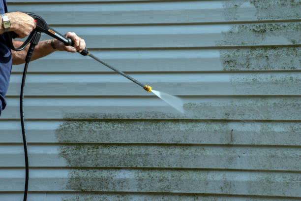 Best House Pressure Washing  in Montgomery, WV