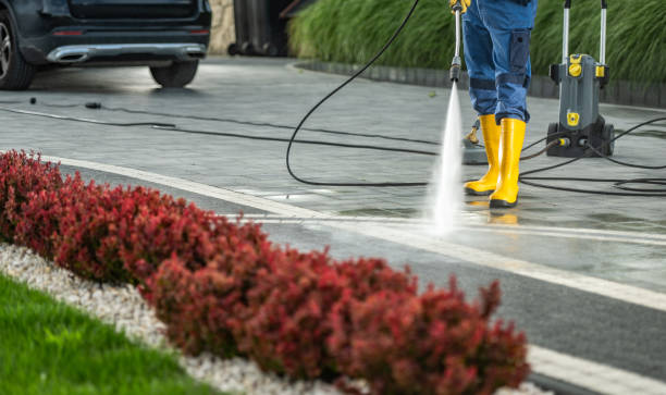 Best Roof Pressure Washing  in Montgomery, WV