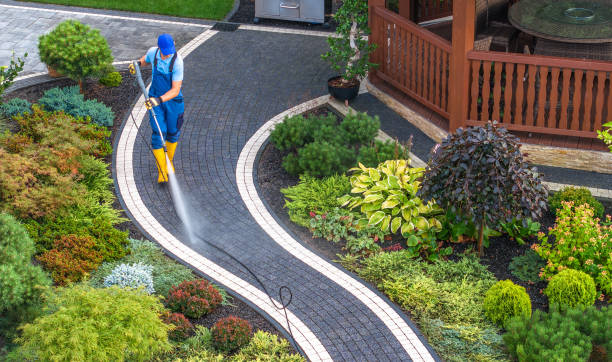Best Commercial Building Pressure Washing  in Montgomery, WV
